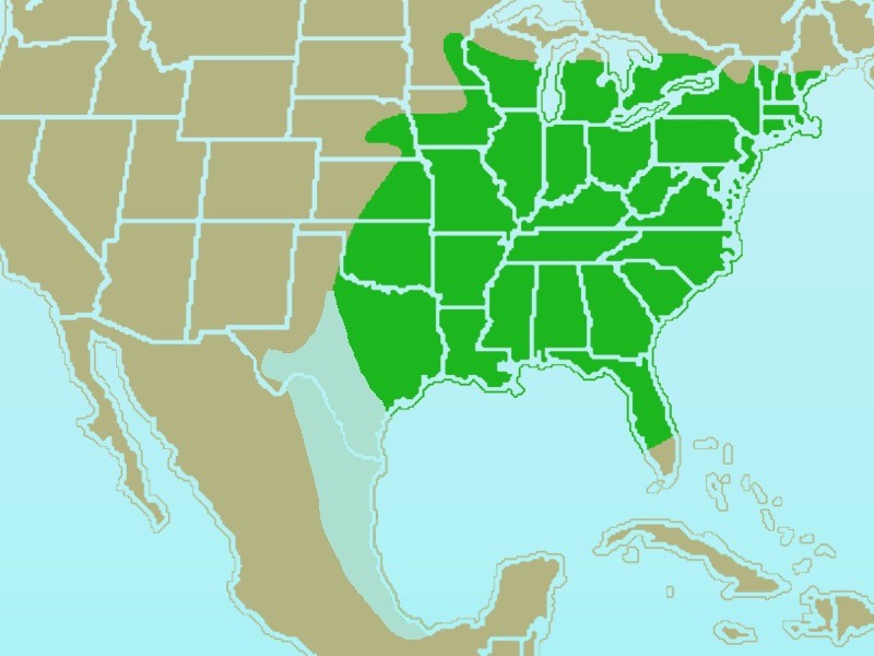 Tufted Titmouse year-round range map by Ken Thomas is available through Public Domain.